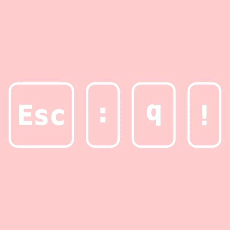 Vim-Escape-Code