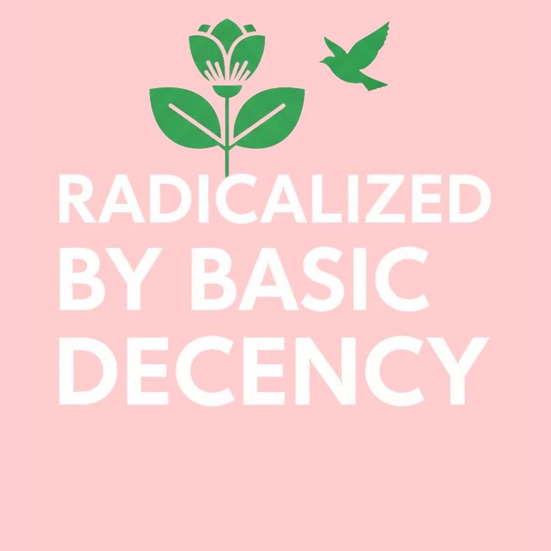 Radicalized By Basic Decency Statement shirt decal