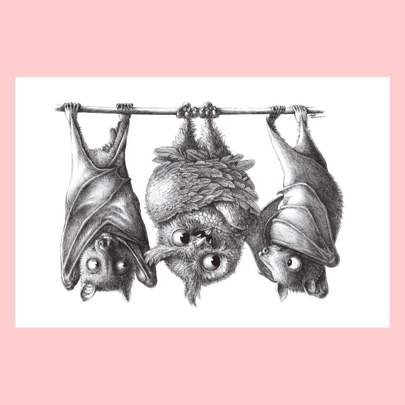 Chouette et chauve-souris vampire