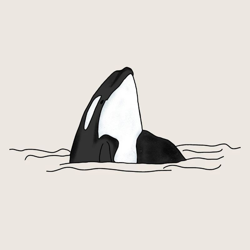 Orca