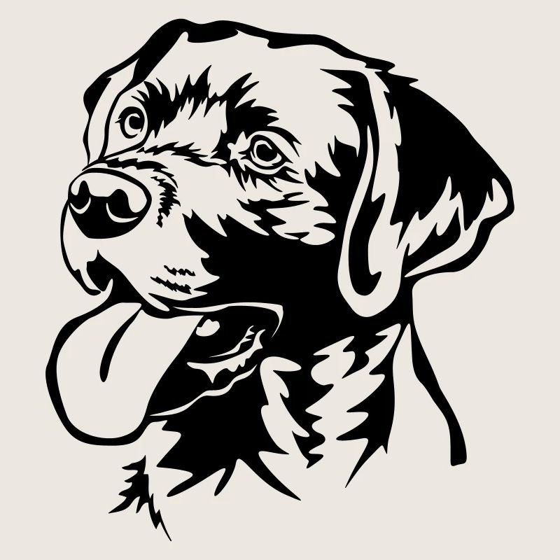 Labrador Retriever Head