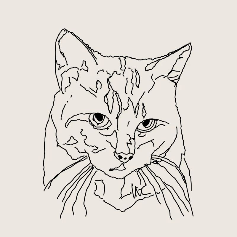 Katze