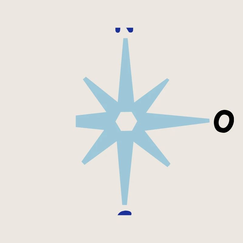 Compass Cardinal Directions Star Compass Maritime