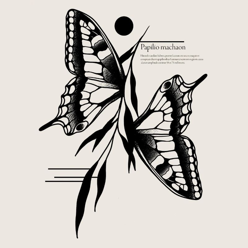 Papillon à queue d’aronde