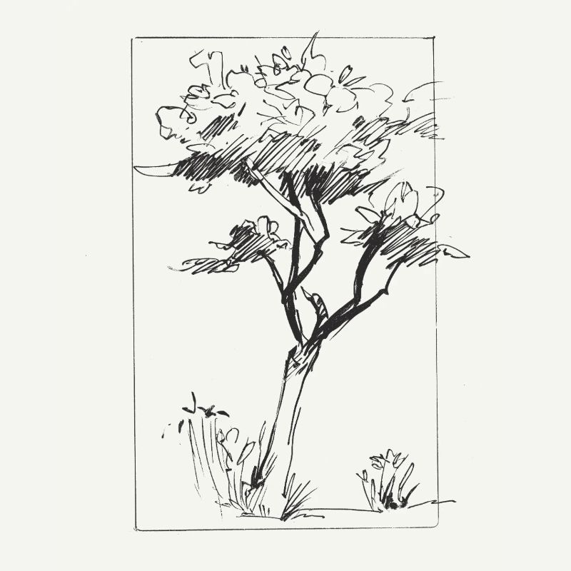 Tree sketch