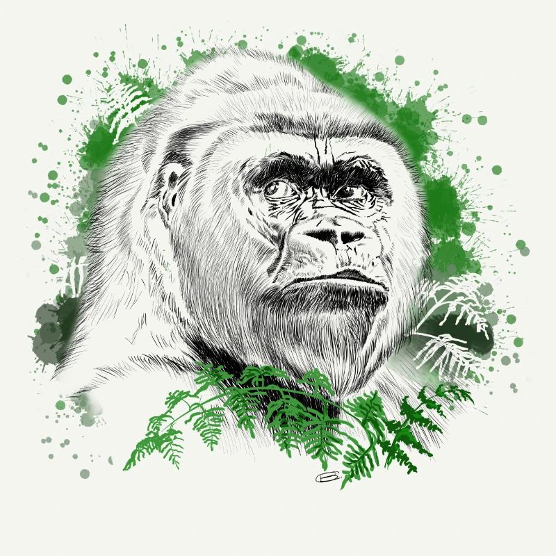 Gorilla