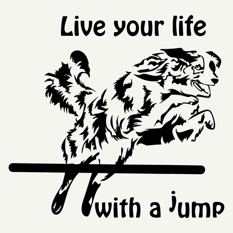 Agility Australian Shepherd Aussie