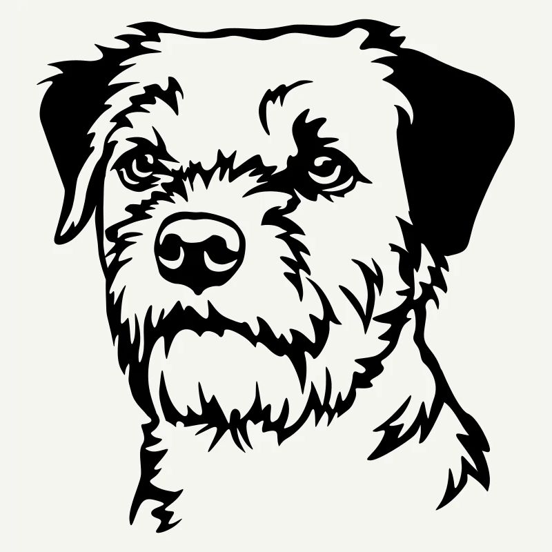 Tête de Border Terrier