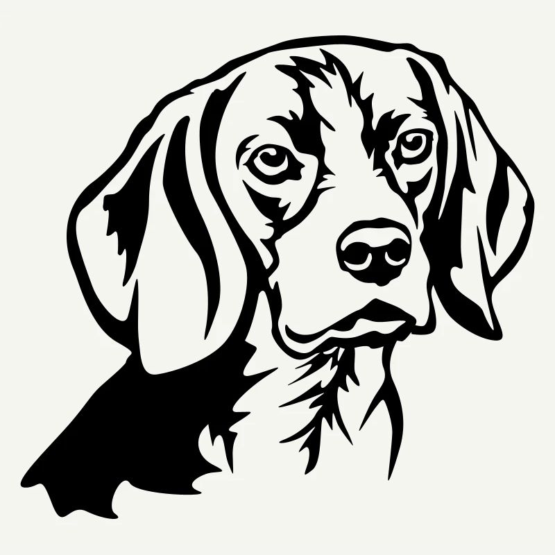 Beagle Kopf