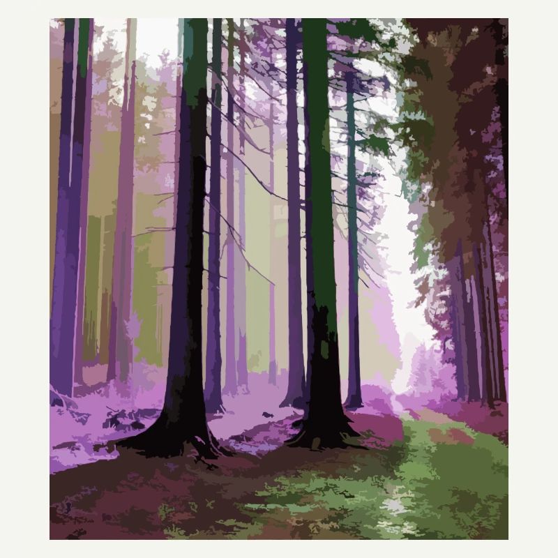 Haunted Cloud Forest