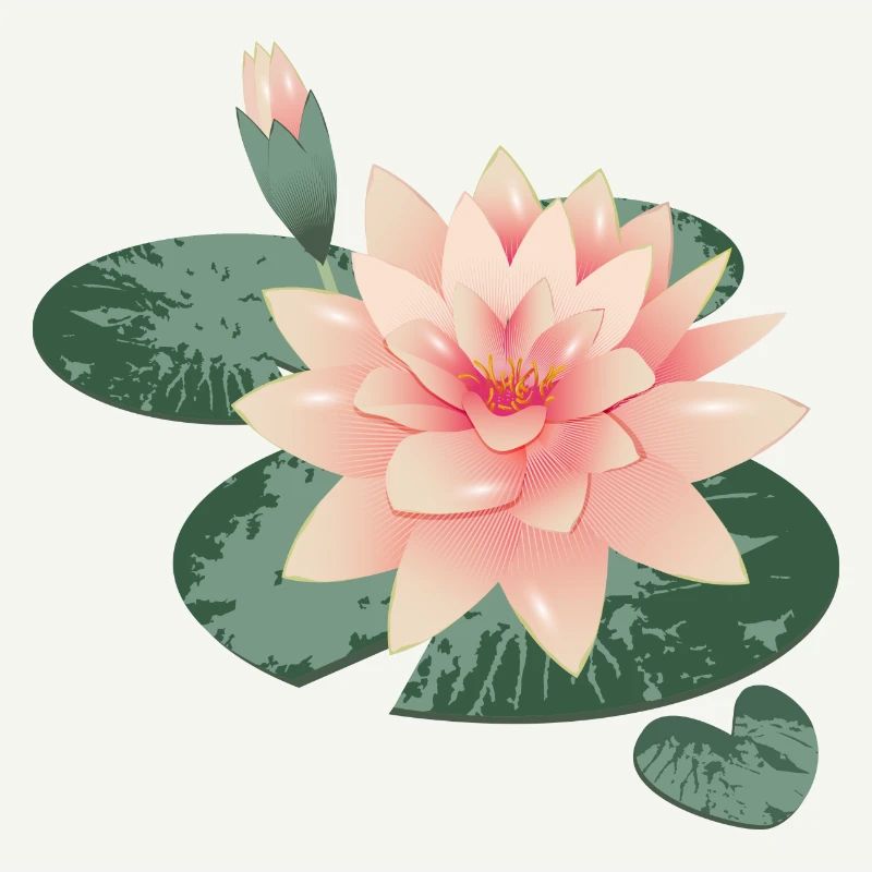 Fleur de nénuphars avec bourgeon dans l’étang de nénuphars