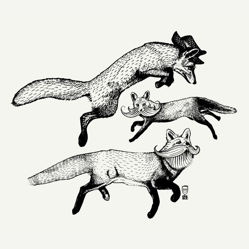 The 3 Foxes