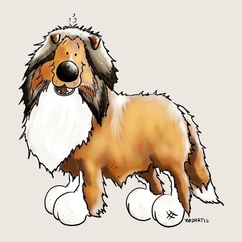 Collie Rough - Chien