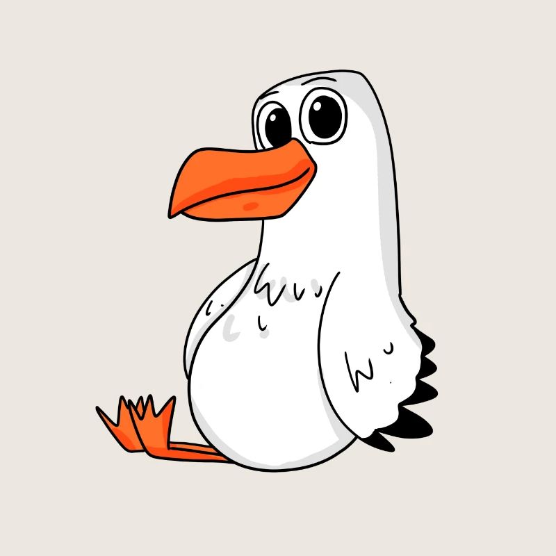 Möwe