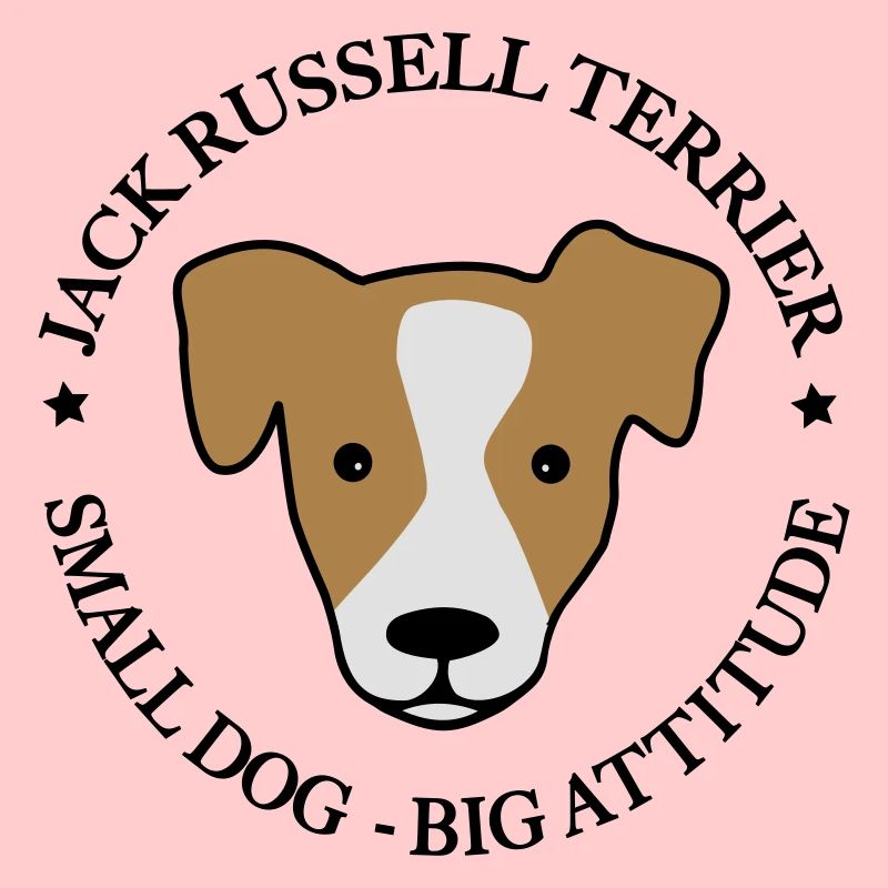 Jack Russell Terrier