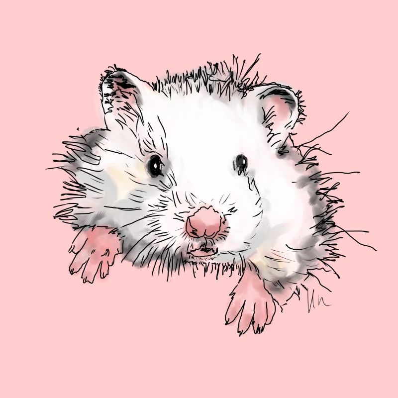Hamster