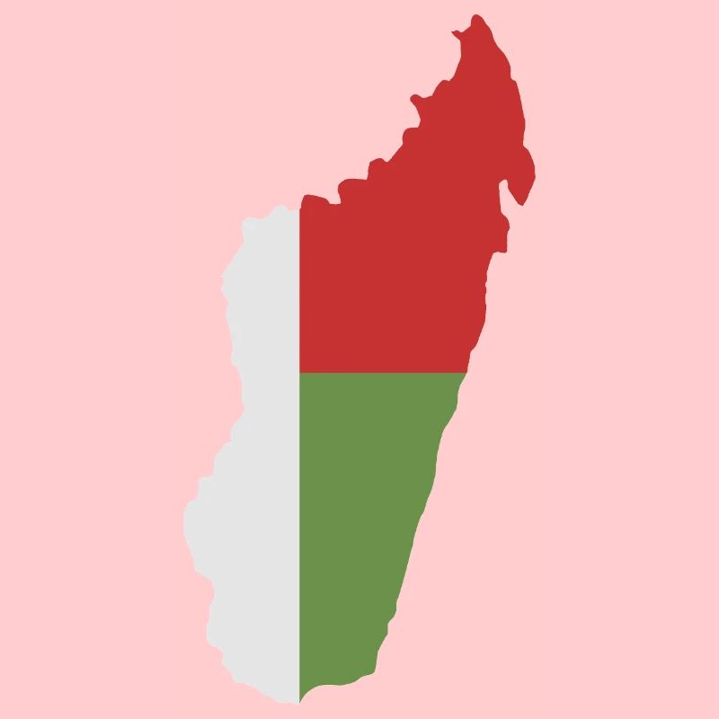 Carte de Madagascar avec drapeau