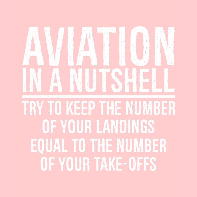 Aviation In A Nutshell Funny