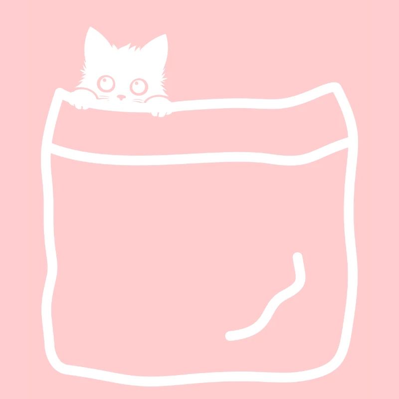 Chats de poche