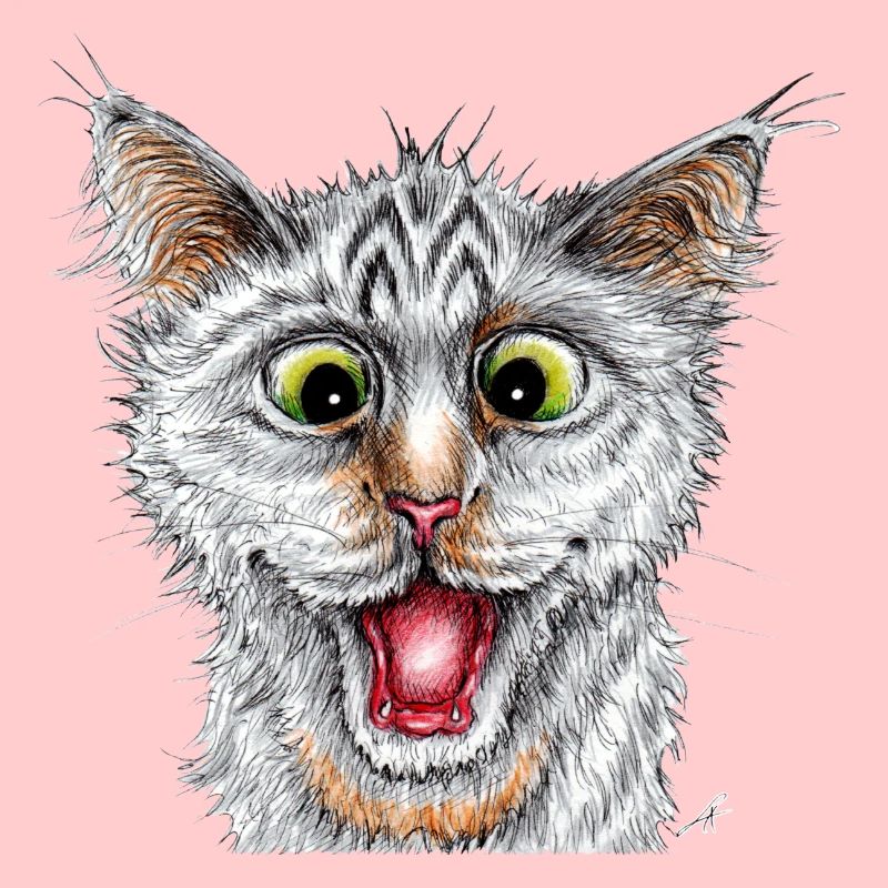 Chat heureux
