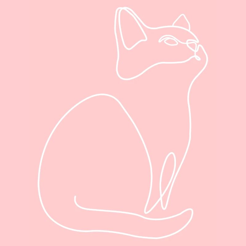 Chaton Chat Chat