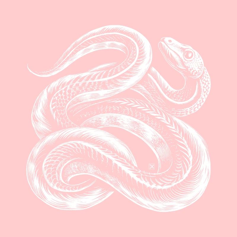Serpent blanc entrelacé