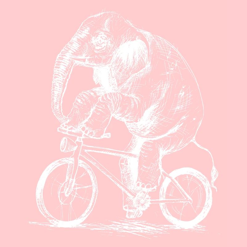 Éléphant à vélo