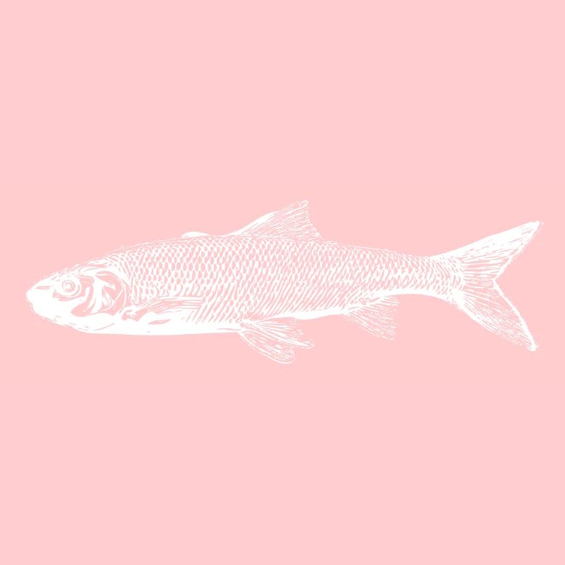 Poisson truite