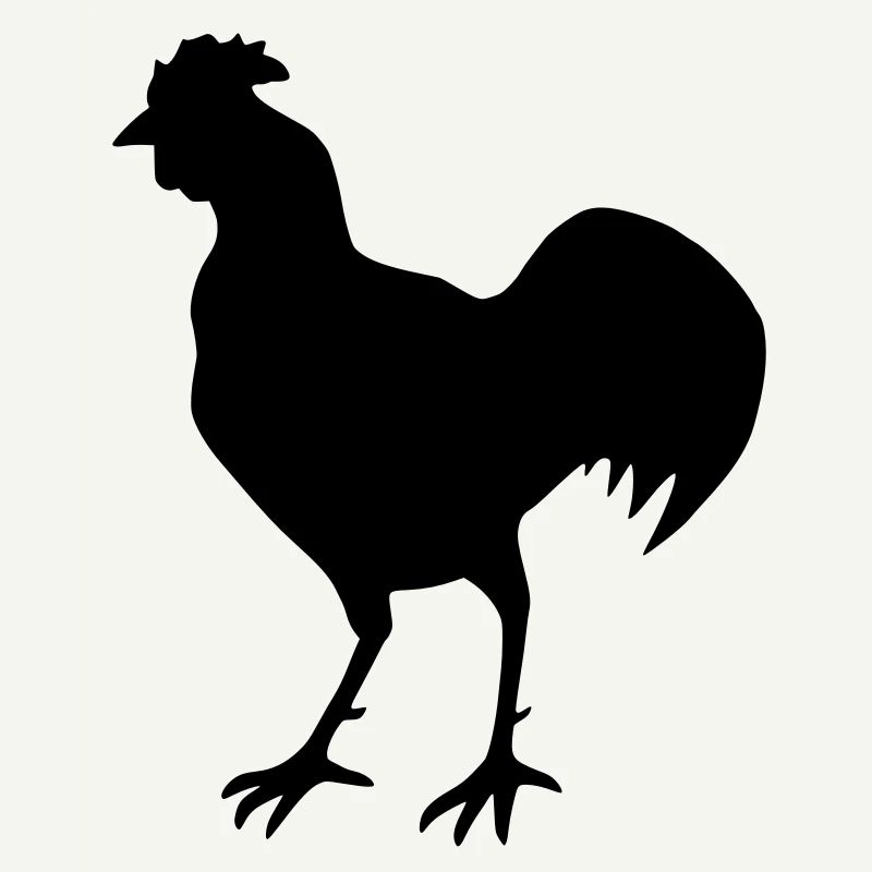 Coq