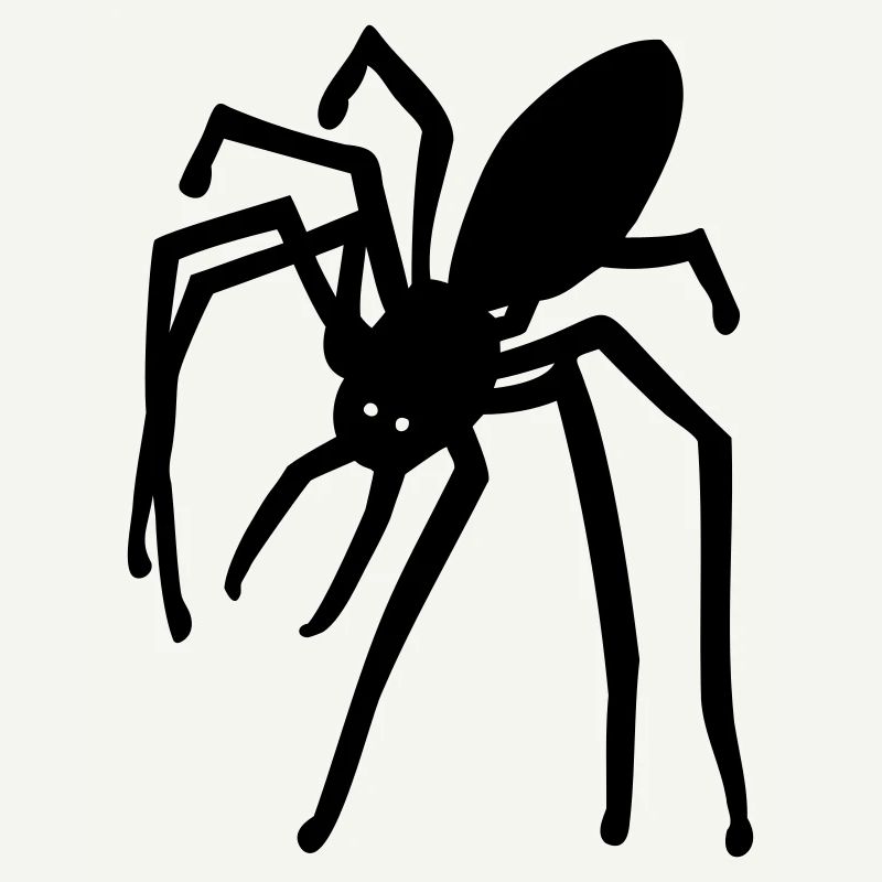 spider