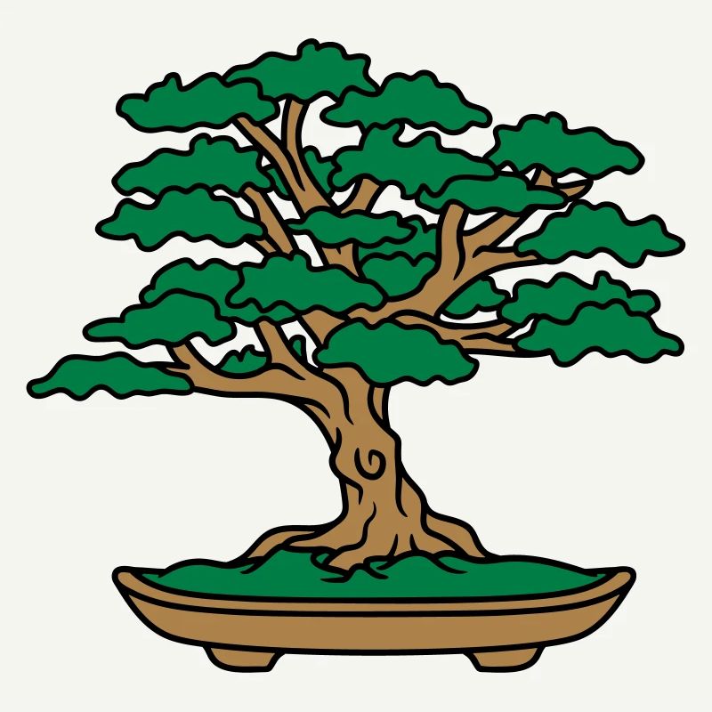 bonsai tree leaves branches small tree