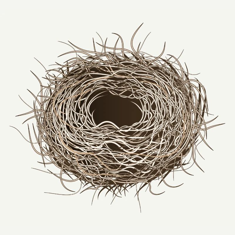 leeres Vogelnest oder Osternest zum Frühling