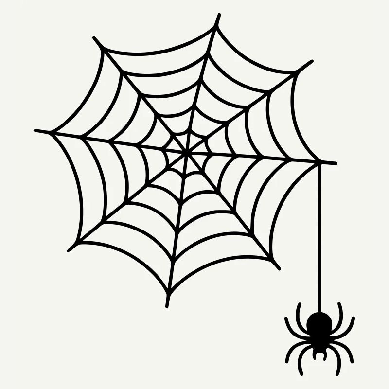 Spider web with spider silhouette