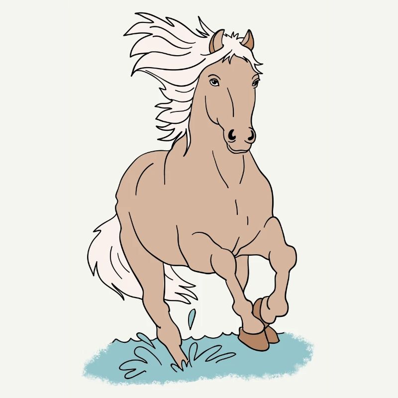 Pferd Pferde