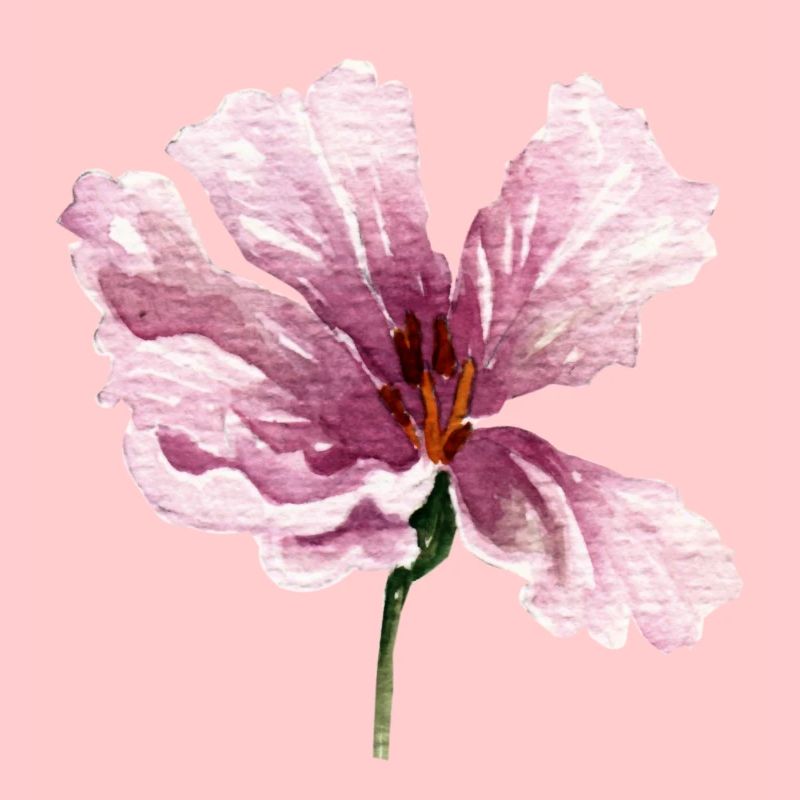 fleur rose