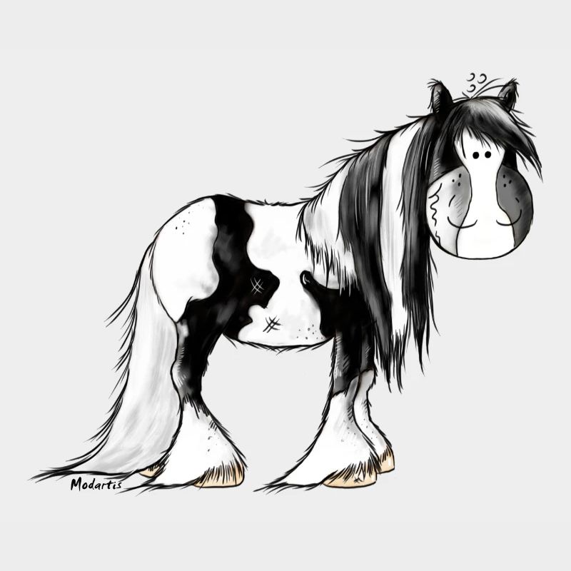 Irish Tinker Pferd - Pinto