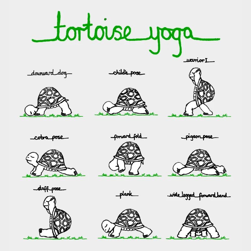 tortoiseyoga