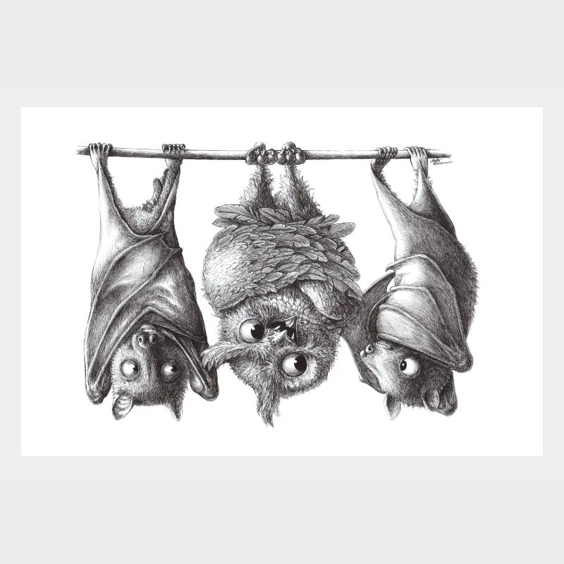 Vampireule und Fledermäuse