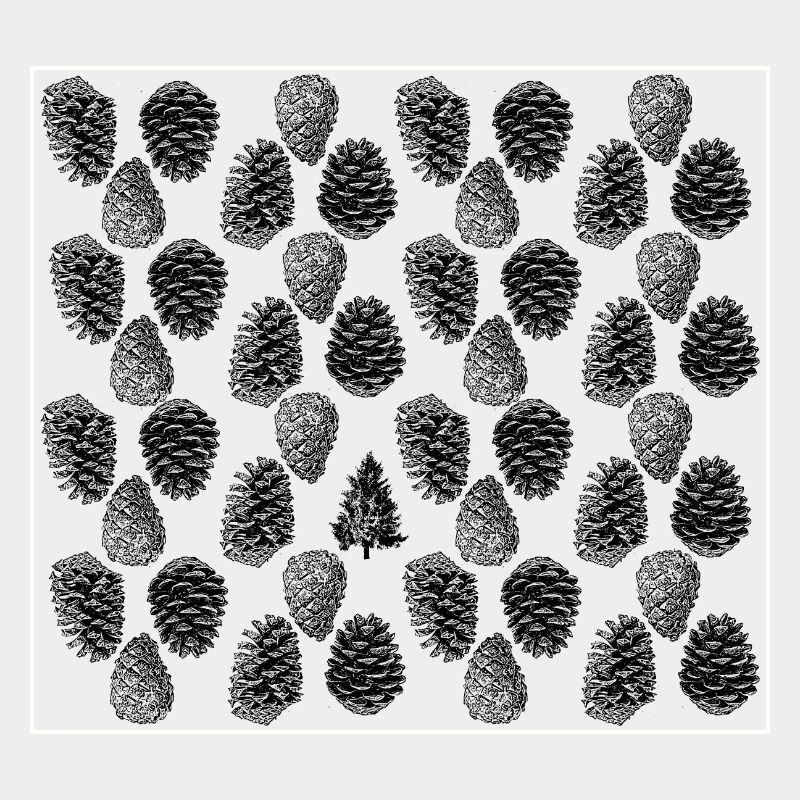 The fir tree