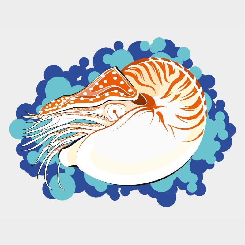 Nautilus Pompilius – Retro-Marinekunst