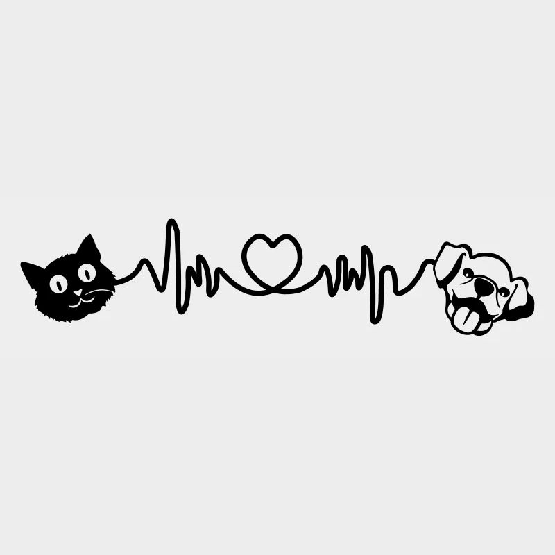 Cardio coup dur chien et chat animaux de compagnie