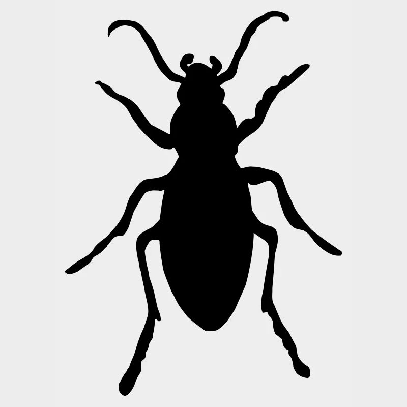Beetle, beetle