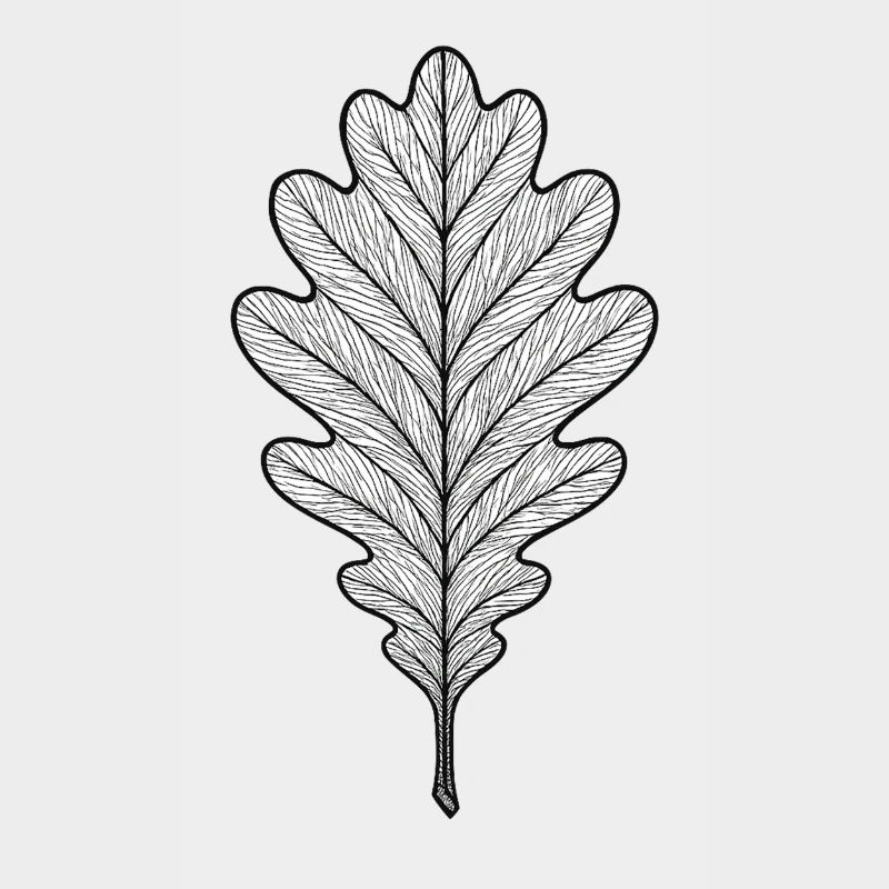 Monochromes Eichenblatt-Design