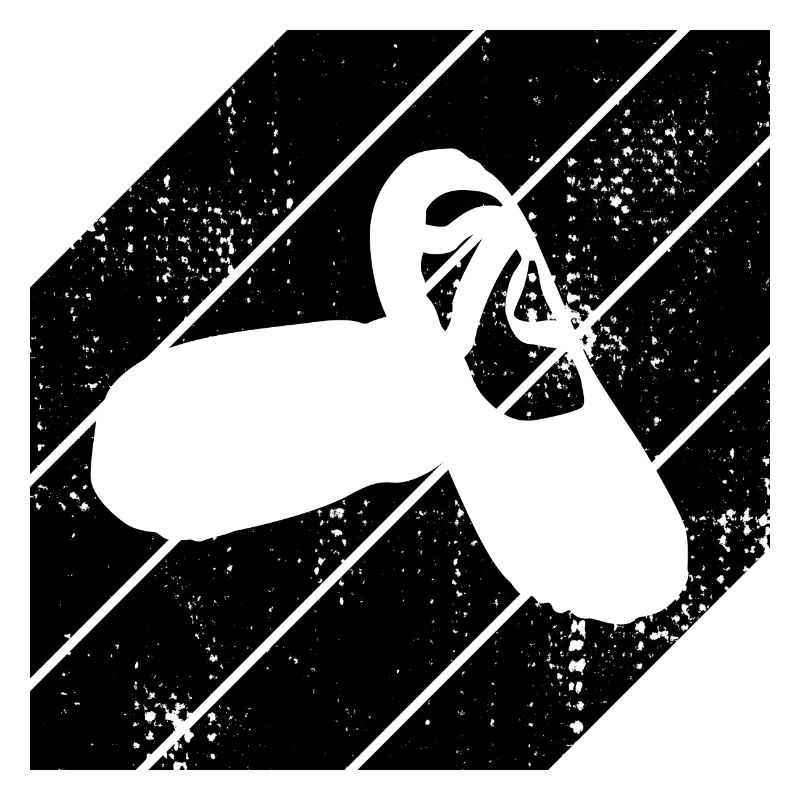 Ballettschuhe