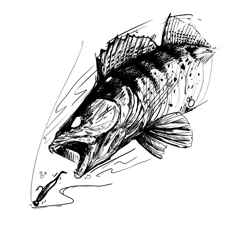 Poisson de vie ! - T-shirt de pêche Zander Attack 2