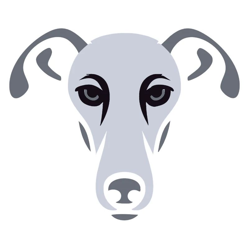 Windhund, Galgo