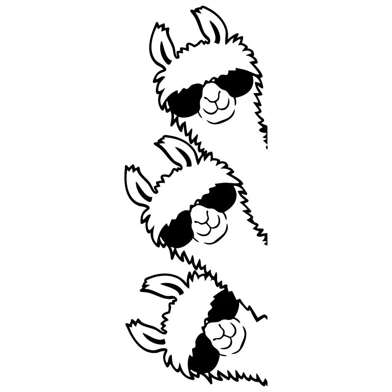 Amis Lama Équipe