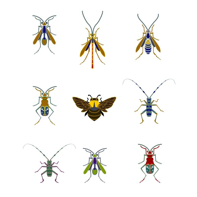 insects mosquitoes bee sting overview fly bug