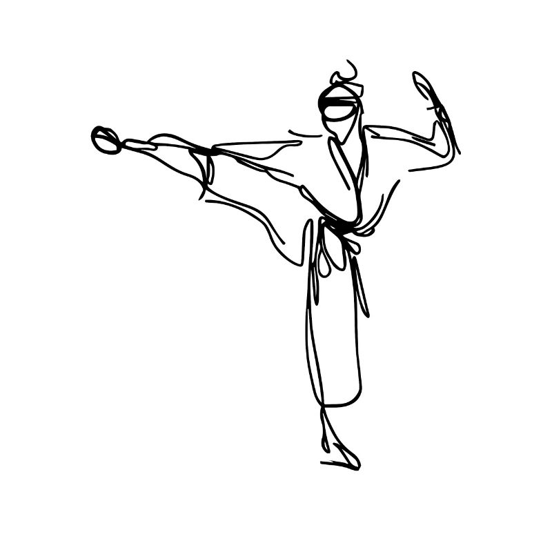 Karateka Drawing