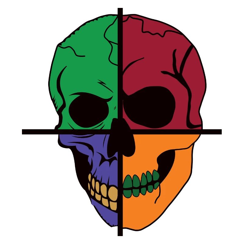 Four Divided Skeletal Skulls